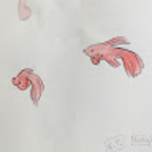 Meet your Posher, Zoe